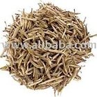 ceylon golden tips from Chado Tea House