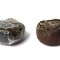 White Pu-erh Mandarin Orange from New Mexico Tea Company