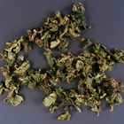 Real Autumn Tie Guan Yin from Tiberias Tea