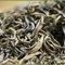 Golden Lion Assam 1st Flush from Tealux