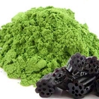 Licorice Matcha from Red Leaf Tea