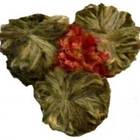 three brothers green ( jasmine) from Chado Tea Room