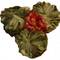 three brothers green ( jasmine) from Chado Tea Room