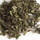 TDThurbo 1st Flush Darjeeling (DJ-16) from Upton Tea Imports