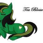 Tea Blossom from Custom-Adagio Teas