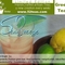 Sea Breeze Green Tea from 52teas