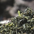 Laoshan White from Verdant Tea