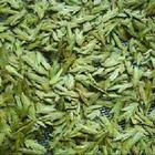 Ju Jia Long Jing from Hangzhou Jujia Tea Co. Ltd.