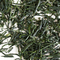 Heavenly Gyokuro from Harney & Sons