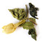 Midnight Blossom Oolong Tea from Tielka