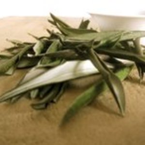 (English) Olive Leaf from Rare Tea Company