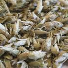 Wild Arbor Buds from Mandala Tea