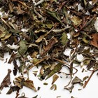 Pai Mu Tan from Thé Kiosque