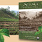 Mint Puerh from Numi Organic Tea