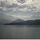 'Ruby' from Sun Moon Lake from Imperial Teas of Lincoln