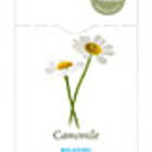 Camomile (Relaxing) from Heath and Heather