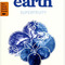 Blueberry & Acai from Good Earth Teas