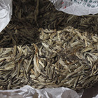 Aged Yunnan Silver Needle White Cake from Verdant Tea