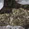Aged Yunnan Silver Needle White Cake from Verdant Tea