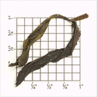 ZO50: Wuyi Golden Guan Yin from Upton Tea Imports
