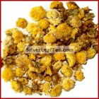 Golden Chrysanthemum Flowers from Silver Leaf Tea