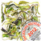 2012 First Flush Happy Valley          FTGFOP1 from Mariage Frères