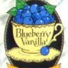 Blueberry Vanilla from Fortunes International Teas