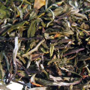 Raspberry Champagne from Fusion Teas