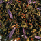 Acai Berry Blend from Fusion Teas