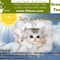 Sun and Cloud Mist from 52teas