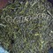 Kagoshima Organic Sencha Kurasawa from O-Cha.com