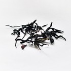 Wild Mountain Black Tea from Canton Tea Co