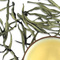 Silver Tips from Numi Organic Tea