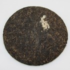 2009 Yun Hai Zhi Dian Shou Bing from Zomia Tea