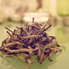 Silver Needle from Art of Tea