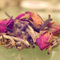 Amore Tea from Art of Tea