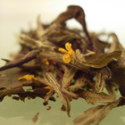 White Peach from Art of Tea