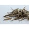 Silver Needles from Peony Tea S.