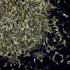 Darjeeling First Flush from T2