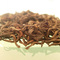 Wild Red Tian Hu Shan from Art of Tea