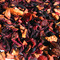Wild Cherry Hibiscus from Fusion Teas