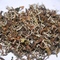 Thurbo clonal Exotica/White tea/ex 23/2nd flush 2012 Darjeeling tea from Tea Emporium