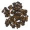 Oolong Beauty Queen from Teamania