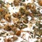 Evening Medley from The Tea Grotto