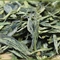 Dragon Well Long Jing Supreme from Tealux