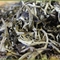 Imperial Pure Old Tree Yue Guan Bai Moon Light White from Tealux