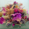 Welcome from Art of Tea