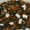 Organic Genmaicha from The Path of Tea