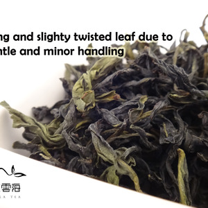 Taiwan Wenshan Pouchong Oolong Tea - Fragrance of Orchid from Nuvola Tea