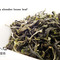Taiwan Sansia Bi Luo Chun Green Tea from Nuvola Tea